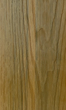 Camphor Wood