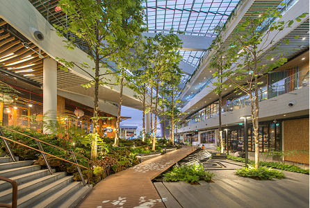 WPC Decking for Shopping Malls